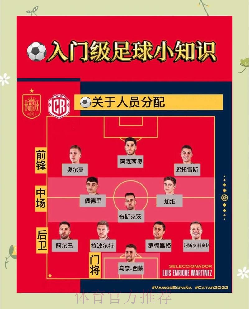 世界杯投注全方位指南与推荐